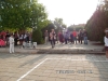 sam_3822