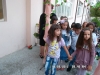sam_3861