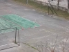 sam_4207