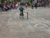 sam_4241