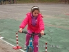sam_4248