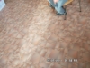 sam_6377