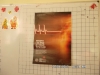 sam_5952