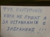 sam_5960