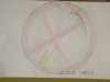 sam_5961