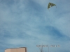 sam_7445