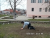 sam_3280